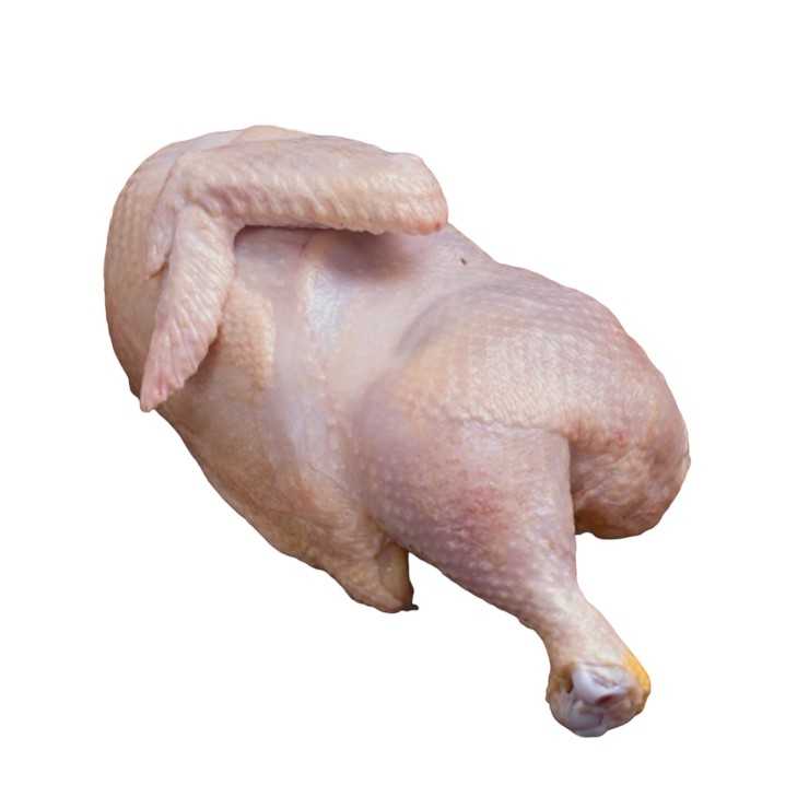 Demi Poulet Fermier sans OGM - 1,2 Kg