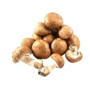 Champignons de Paris Brun -...