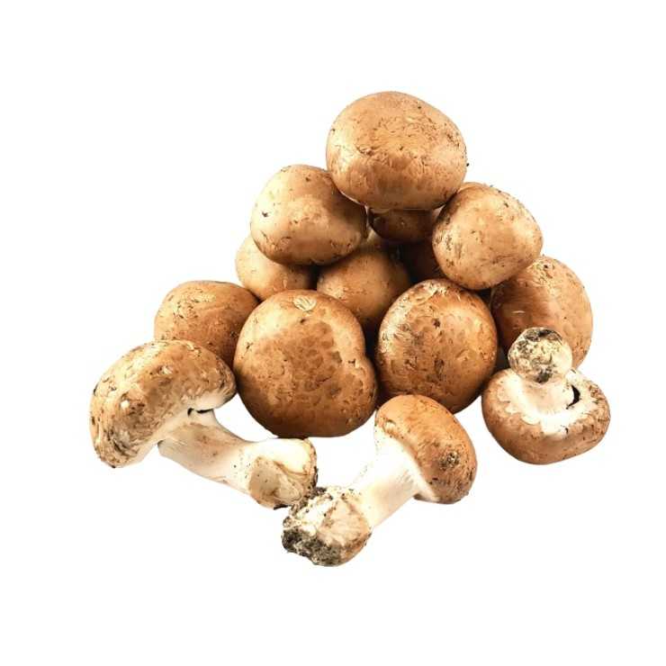 Champignons de Paris Brun - 200 gr