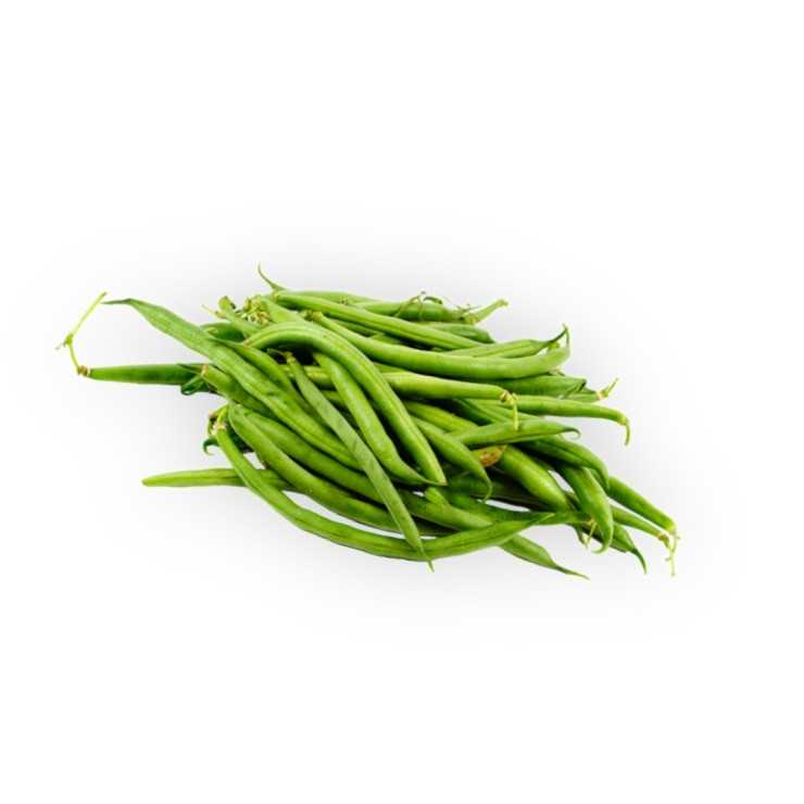 Haricots Verts Primel - 500 gr