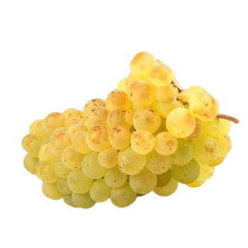 Raisin Blanc Chasselas -...