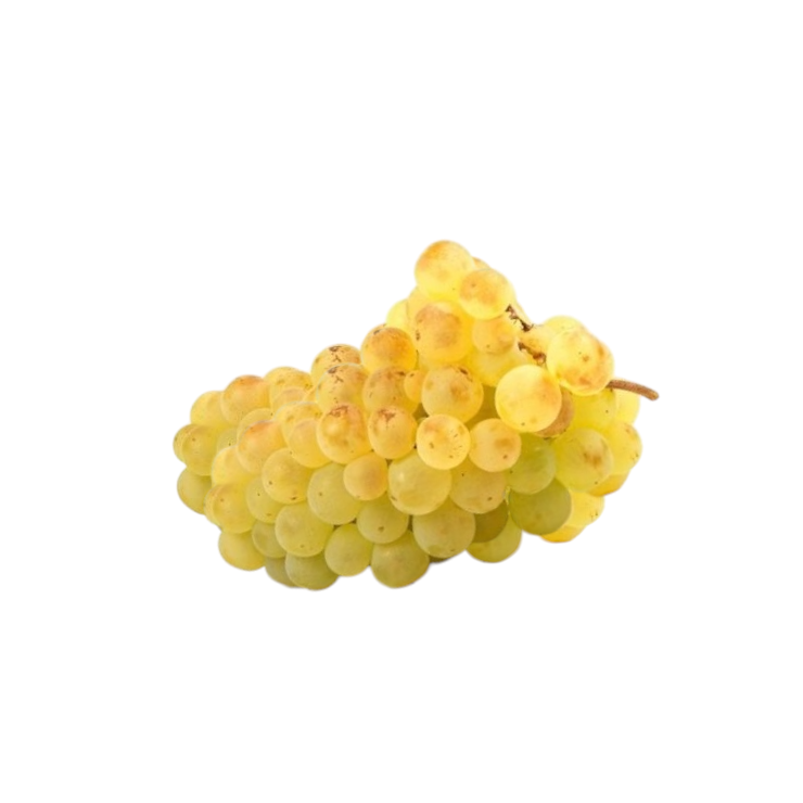 Raisin Blanc Chasselas - 500 gr