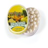 Les Anis de Flavigny Citron - 50 gr