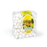 Les Anis de Flavigny Citron - 250 gr