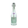 Limonade Fleur de Sureau BIO - 75 cl